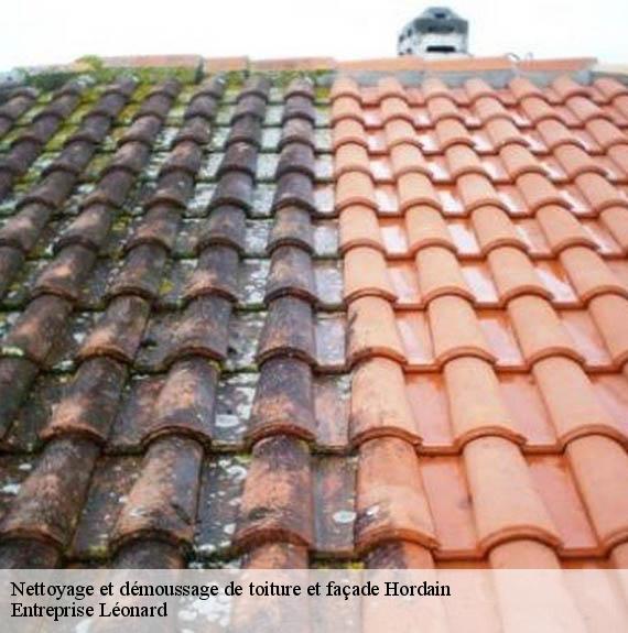 Nettoyage et démoussage de toiture et façade  hordain-59111 Entreprise Léonard
