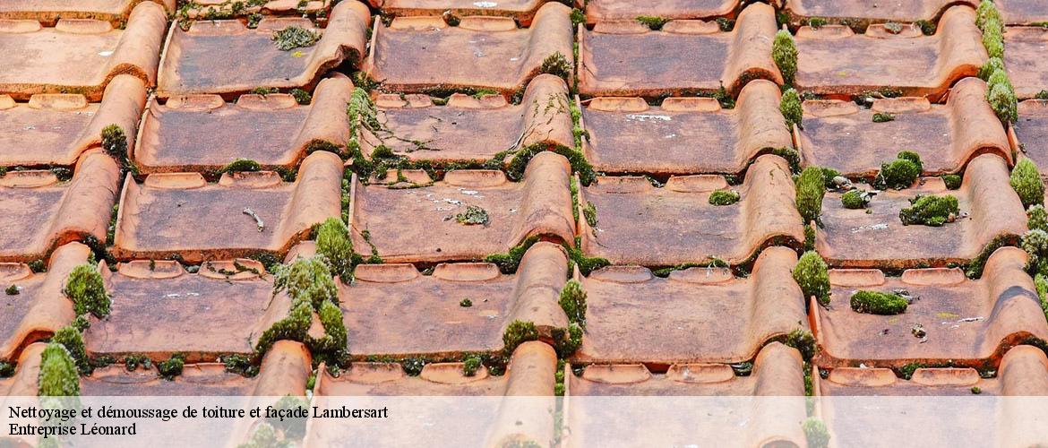 Nettoyage et démoussage de toiture et façade  lambersart-59130 Entreprise Léonard