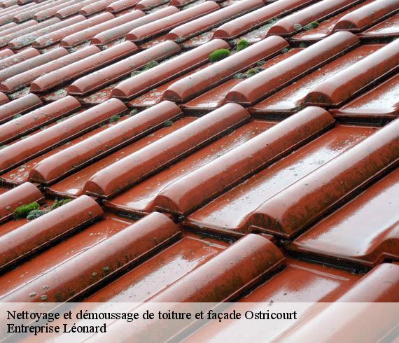 Nettoyage et démoussage de toiture et façade  ostricourt-59162 Entreprise Léonard