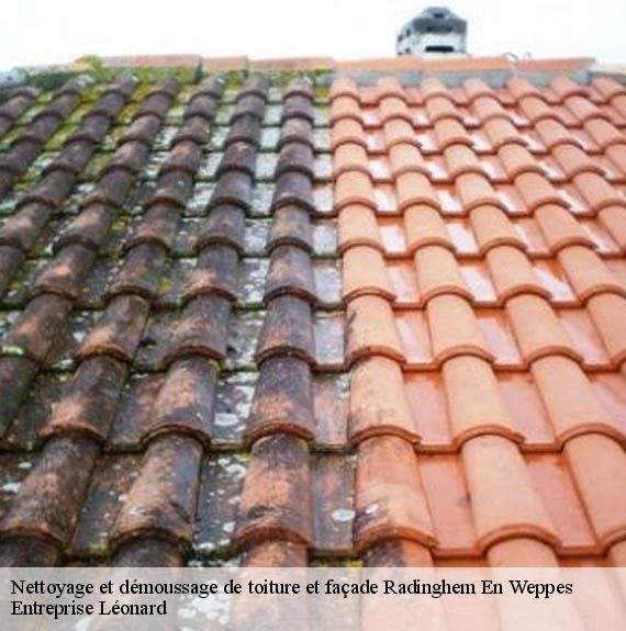 Nettoyage et démoussage de toiture et façade  radinghem-en-weppes-59320 Entreprise Léonard