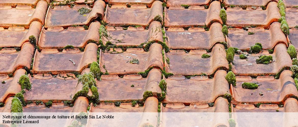 Nettoyage et démoussage de toiture et façade  sin-le-noble-59450 Entreprise Léonard