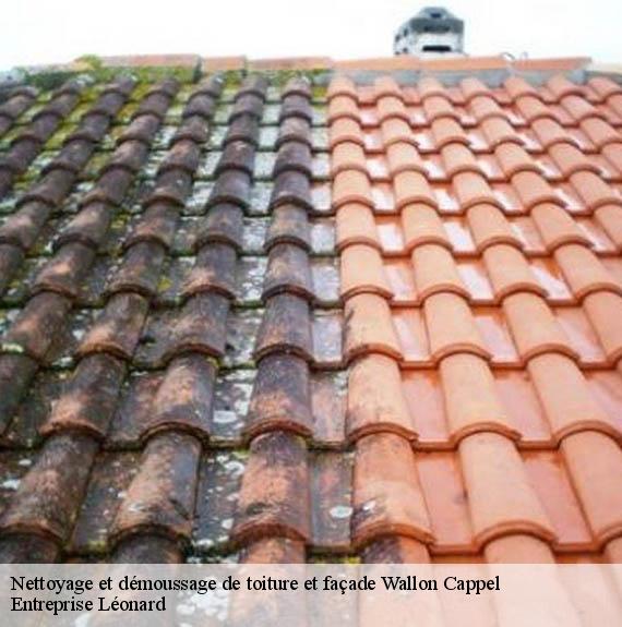 Nettoyage et démoussage de toiture et façade  wallon-cappel-59190 Entreprise Léonard