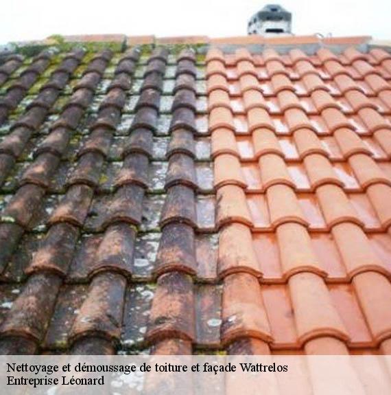 Nettoyage et démoussage de toiture et façade  wattrelos-59150 Entreprise Léonard
