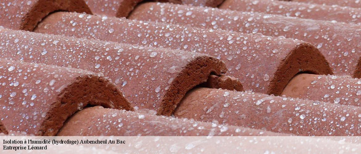 Isolation à l'humidité (hydrofuge) aubencheul-au-bac-59265 Entreprise Léonard