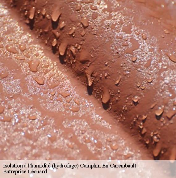 Isolation à l'humidité (hydrofuge)  camphin-en-carembault-59133 Entreprise Léonard