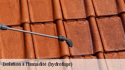 Isolation à l'humidité (hydrofuge)  carnin-59112 Entreprise Léonard