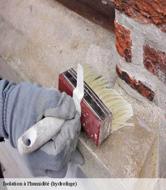 Isolation à l'humidité (hydrofuge)  fressies-59247 Entreprise Léonard