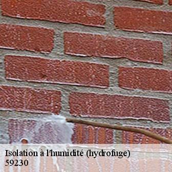 Isolation à l'humidité (hydrofuge)  nivelle-59230 Entreprise Léonard