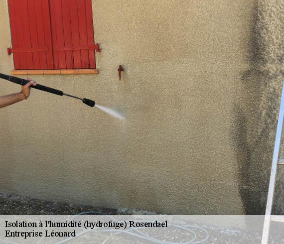 Isolation à l'humidité (hydrofuge)  rosendael-59240 Entreprise Léonard