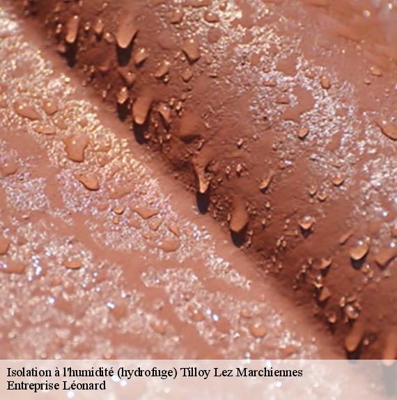 Isolation à l'humidité (hydrofuge)  tilloy-lez-marchiennes-59870 Entreprise Léonard