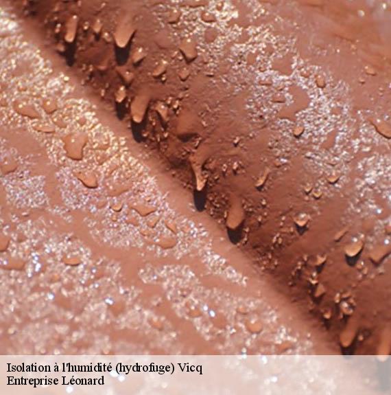 Isolation à l'humidité (hydrofuge)  vicq-59970 Entreprise Léonard