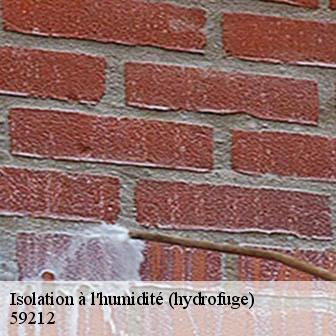 Isolation à l'humidité (hydrofuge)  wignehies-59212 Entreprise Léonard