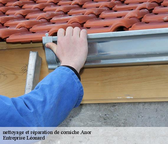 nettoyage et réparation de corniche  anor-59186 Entreprise Léonard