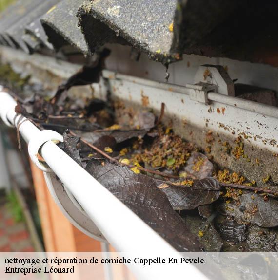 nettoyage et réparation de corniche  cappelle-en-pevele-59242 Entreprise Léonard