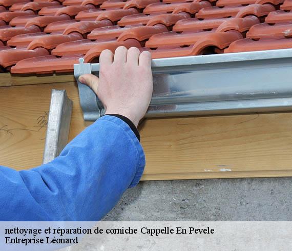 nettoyage et réparation de corniche  cappelle-en-pevele-59242 Entreprise Léonard