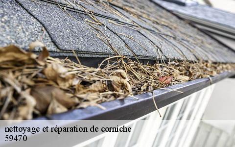 nettoyage et réparation de corniche  houtkerque-59470 Entreprise Léonard