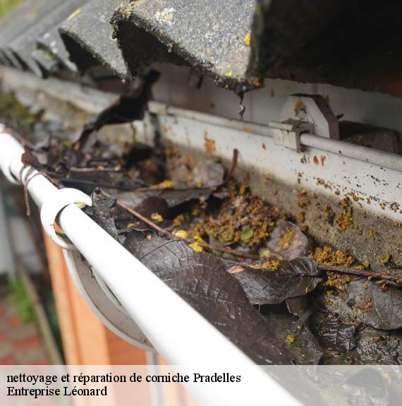nettoyage et réparation de corniche  pradelles-59190 Entreprise Léonard