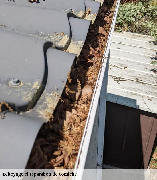 nettoyage et réparation de corniche  teteghem-59229 Entreprise Léonard