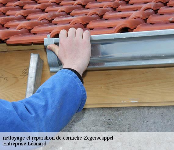 nettoyage et réparation de corniche  zegerscappel-59470 Entreprise Léonard